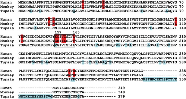 Figures and data in Sodium taurocholate cotransporting polypeptide is a ...