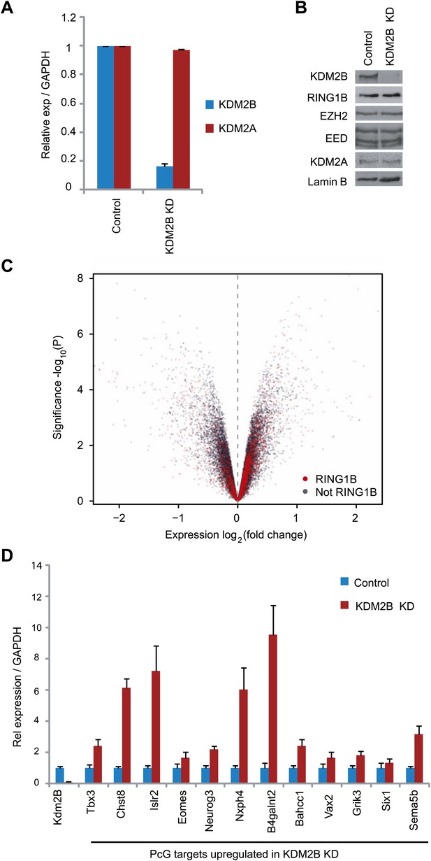 Figures And Data In Kdm2b Links The Polycomb Repressive Complex 1 Prc1 To Recognition Of Cpg