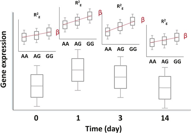 Integrative Genomic Analysis To Identify Mediators Of Beti Response