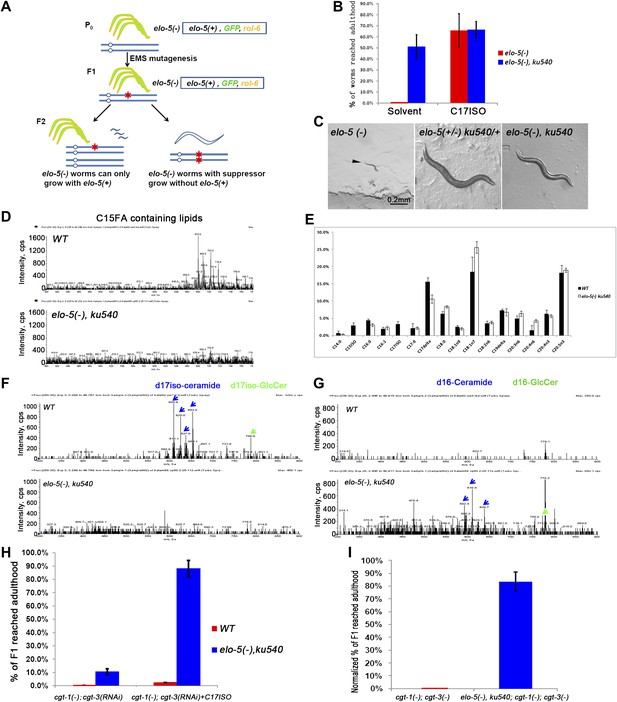 Figures and data in A novel sphingolipid-TORC1 pathway critically ...