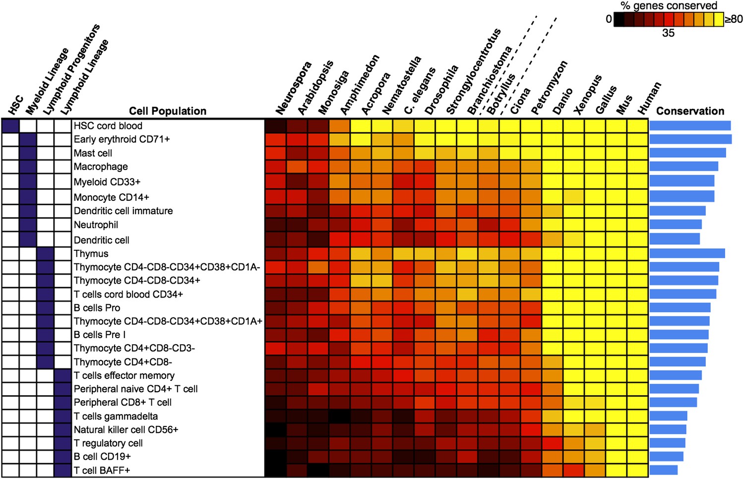 Figures and data in The genome sequence of the colonial chordate ...