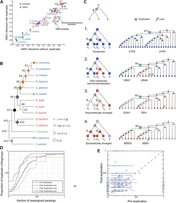 Evolutionary Principles Of Modular Gene Regulation In Yeasts Elife