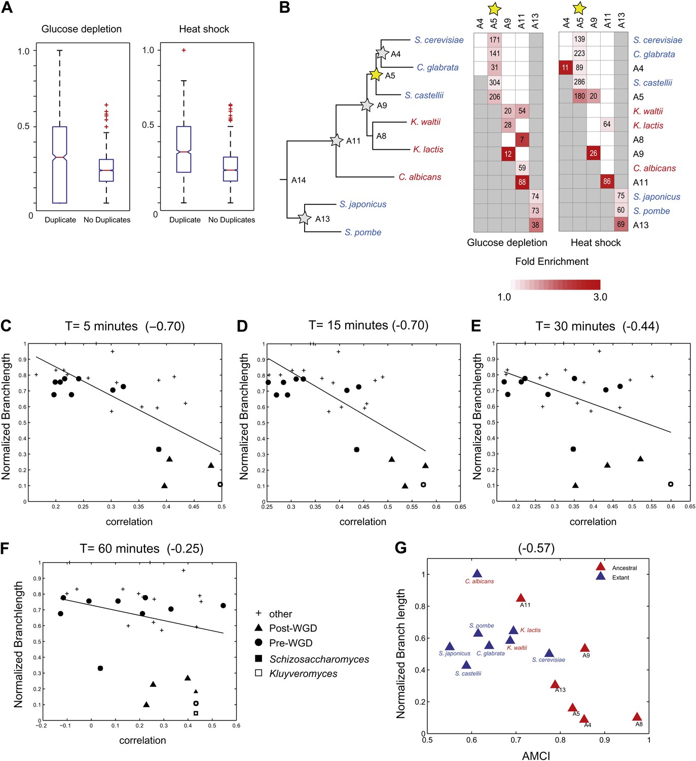 Evolutionary Principles Of Modular Gene Regulation In Yeasts Elife