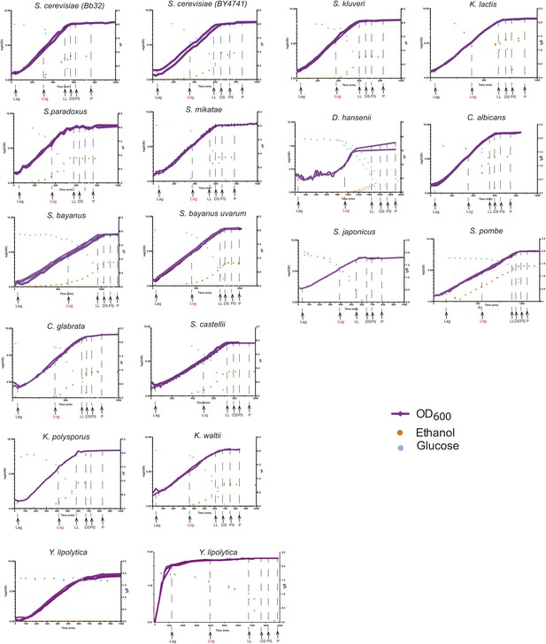 Evolutionary Principles Of Modular Gene Regulation In Yeasts Elife