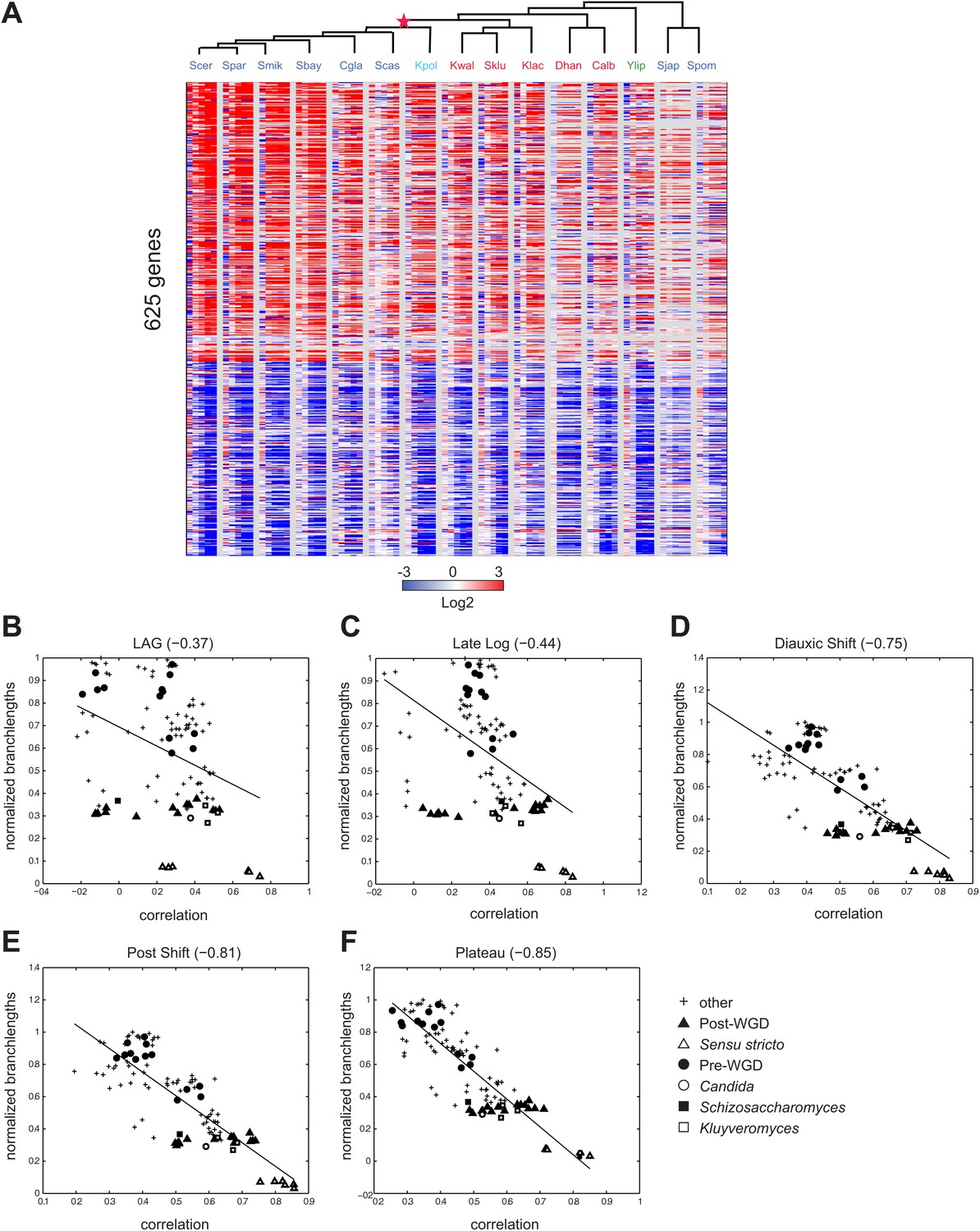 Evolutionary Principles Of Modular Gene Regulation In Yeasts Elife