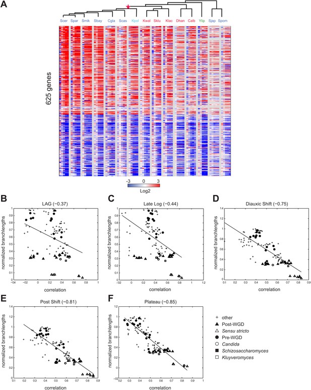 Evolutionary Principles Of Modular Gene Regulation In Yeasts Elife