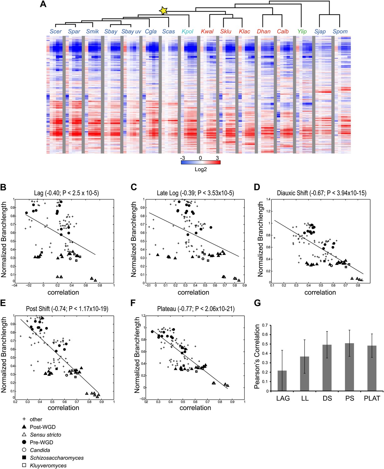 Evolutionary Principles Of Modular Gene Regulation In Yeasts Elife