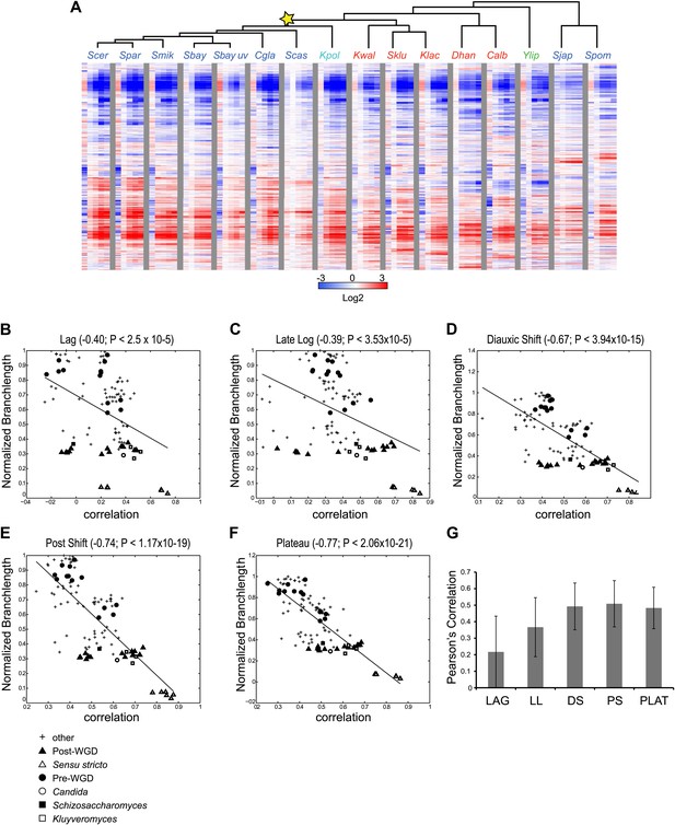 Evolutionary principles of modular gene regulation in yeasts | eLife