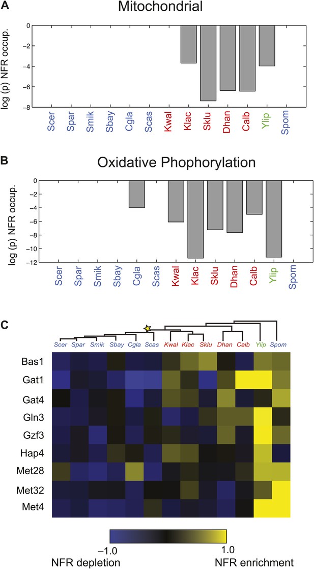 Evolutionary Principles Of Modular Gene Regulation In Yeasts Elife