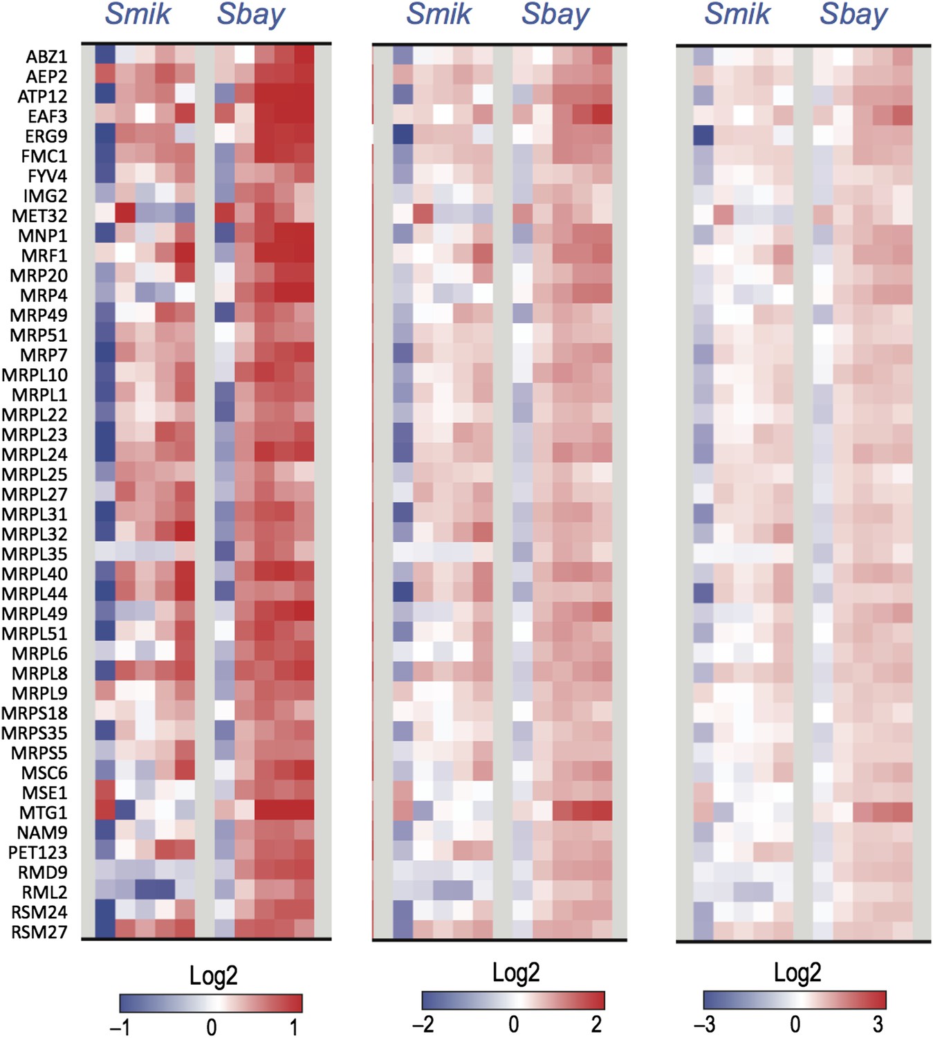 Evolutionary Principles Of Modular Gene Regulation In Yeasts Elife