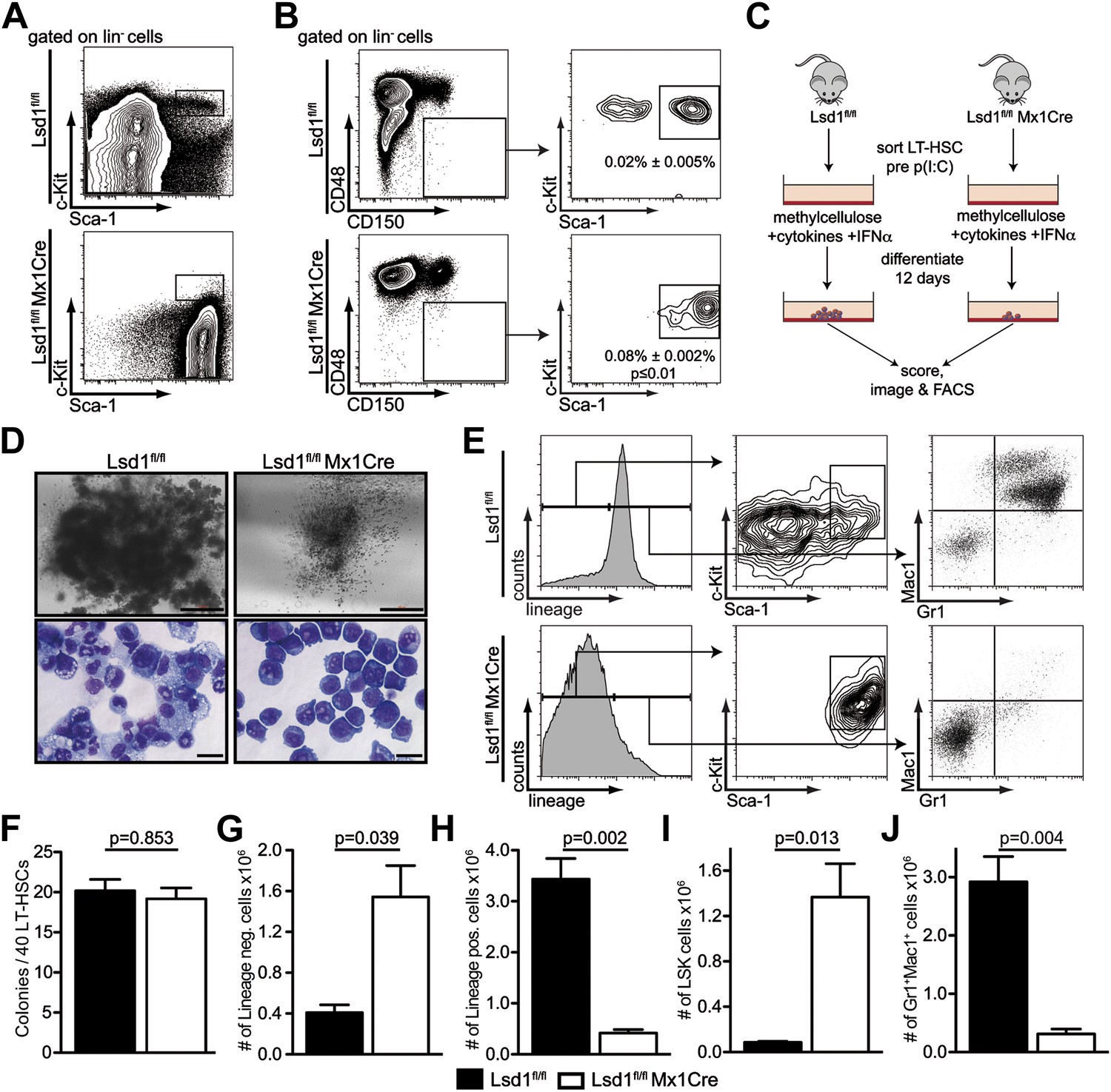 Histone demethylase Lsd1 represses hematopoietic stem and progenitor ...