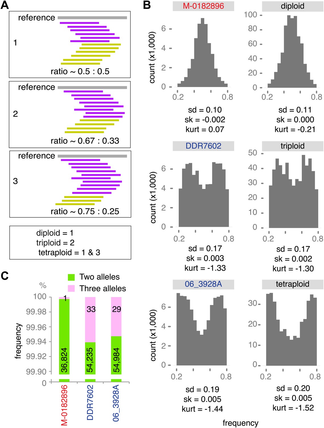 The Rise And Fall Of The Phytophthora Infestans Lineage That Triggered The Irish Potato Famine