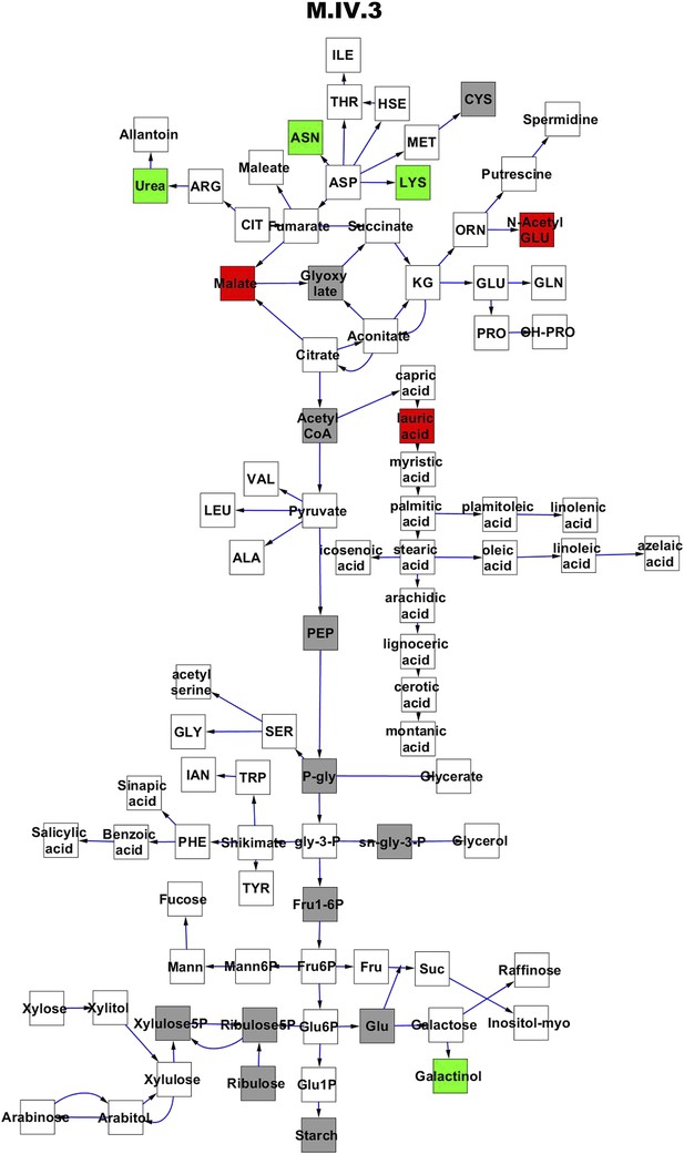 Figures and data in Cytoplasmic genetic variation and extensive ...