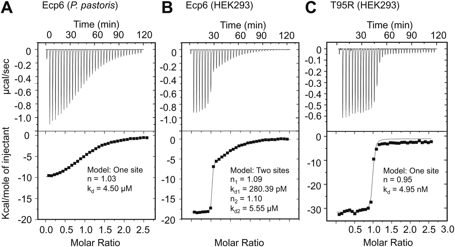 Fungal effector Ecp6 outcompetes host immune receptor for chitin ...