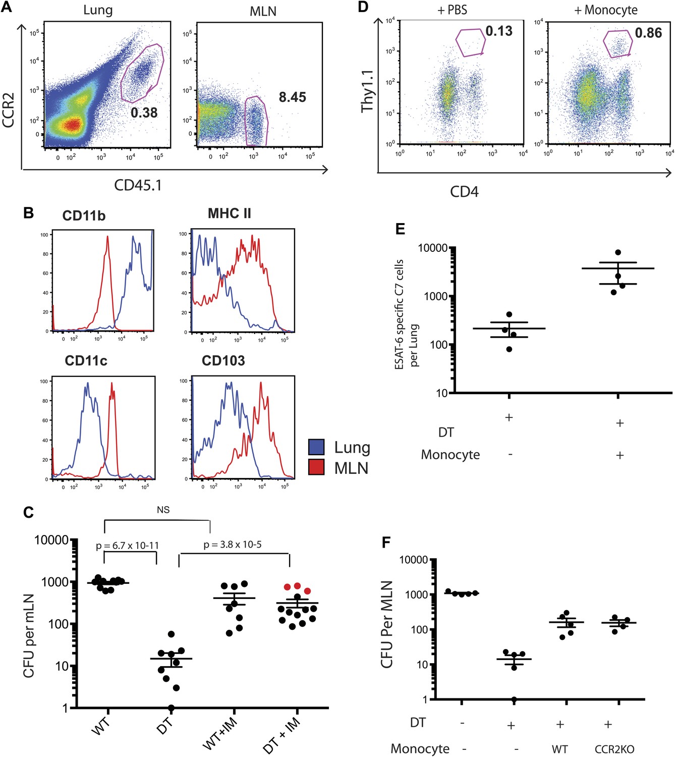 Figures and data in Essential yet limited role for CCR2+ inflammatory ...