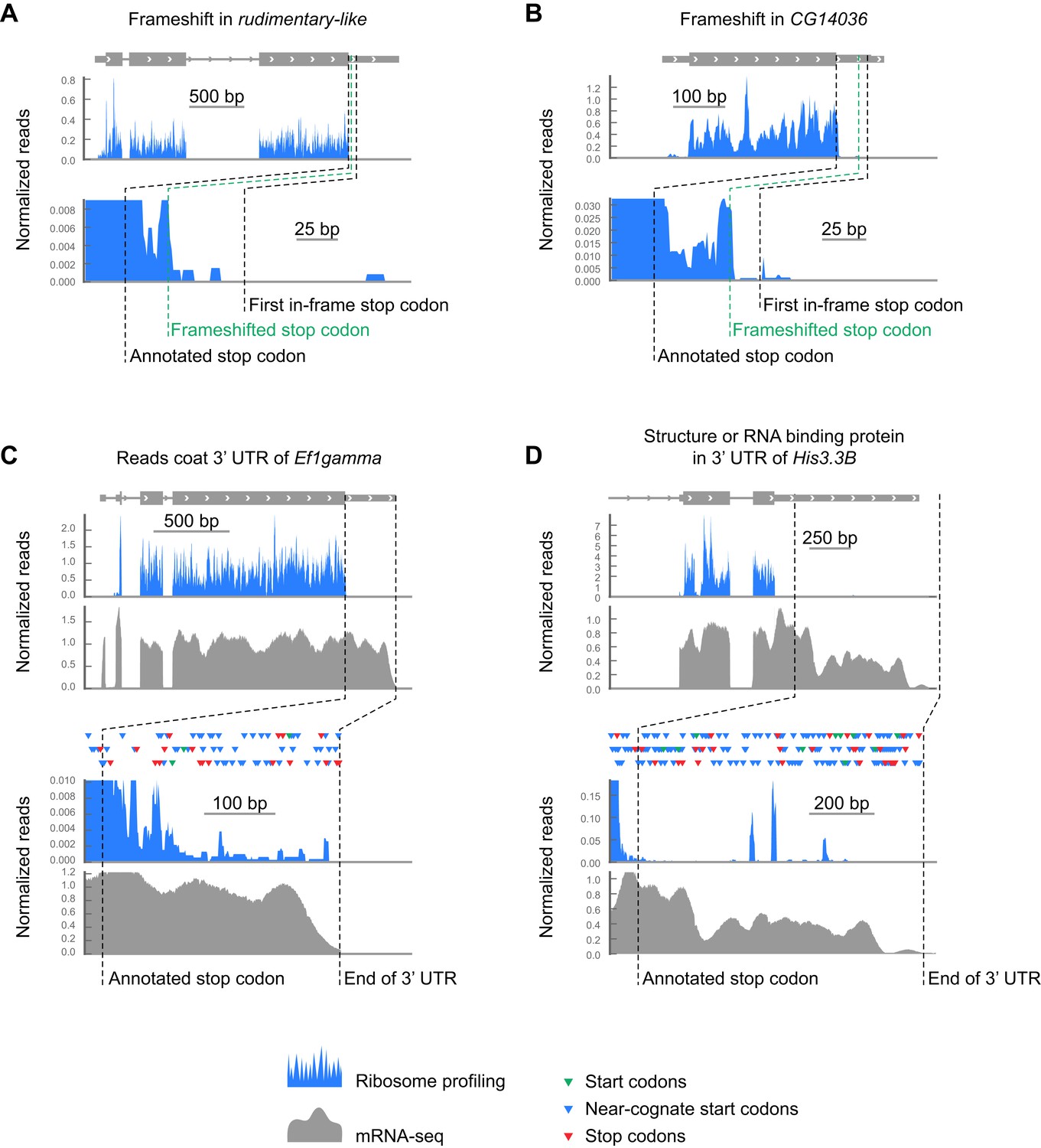 Figures And Data In Ribosome Profiling Reveals Pervasive And Regulated ...