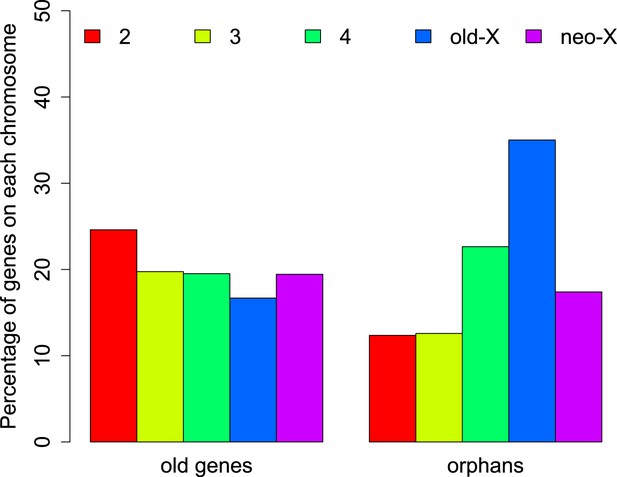 The life cycle of Drosophila orphan genes | eLife