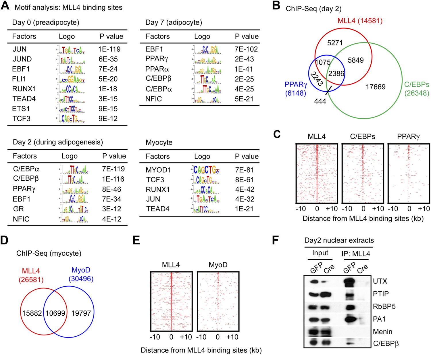 H3K4 mono- and di-methyltransferase MLL4 is required for enhancer