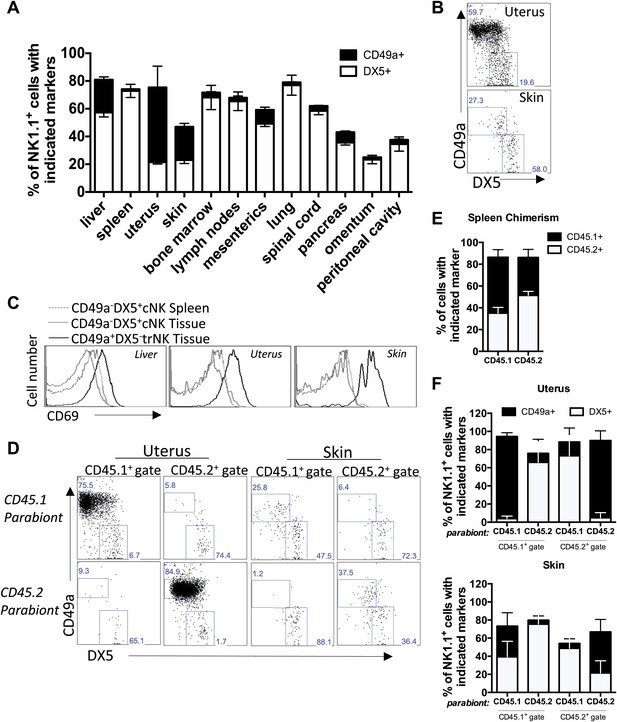 Figures and data in Tissue-resident natural killer (NK) cells are cell ...