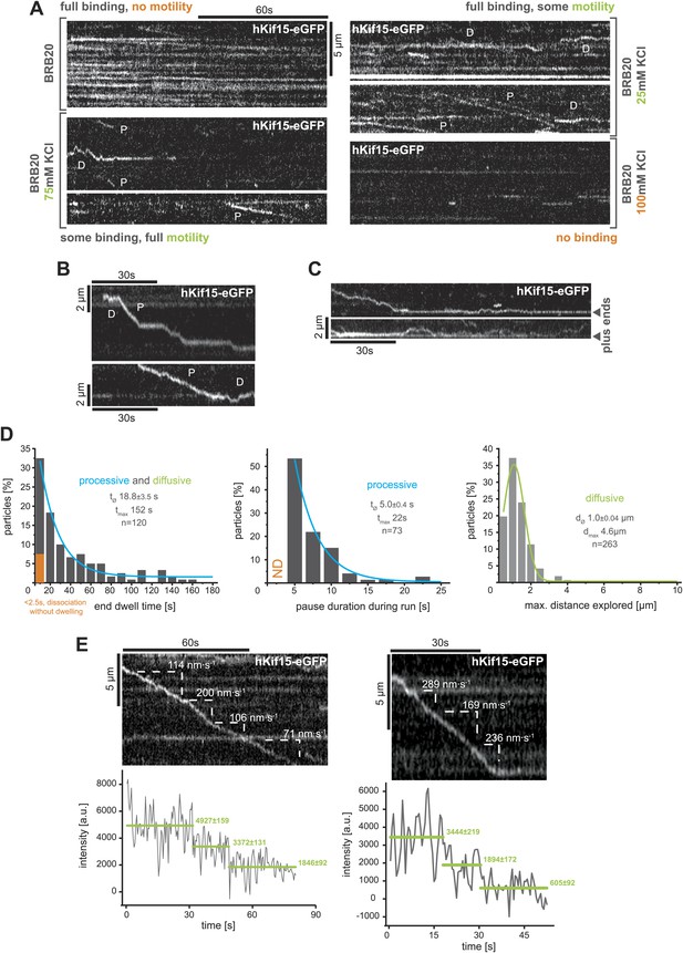 Figures And Data In The Kinesin-12 Kif15 Is A Processive Track ...