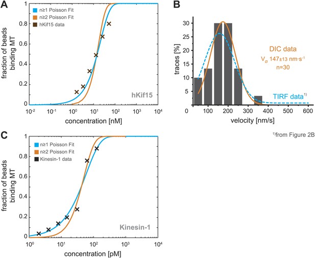 Figures And Data In The Kinesin-12 Kif15 Is A Processive Track ...