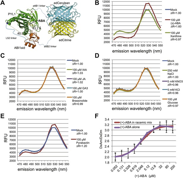 Abscisic acid dynamics in roots detected with genetically encoded FRET ...