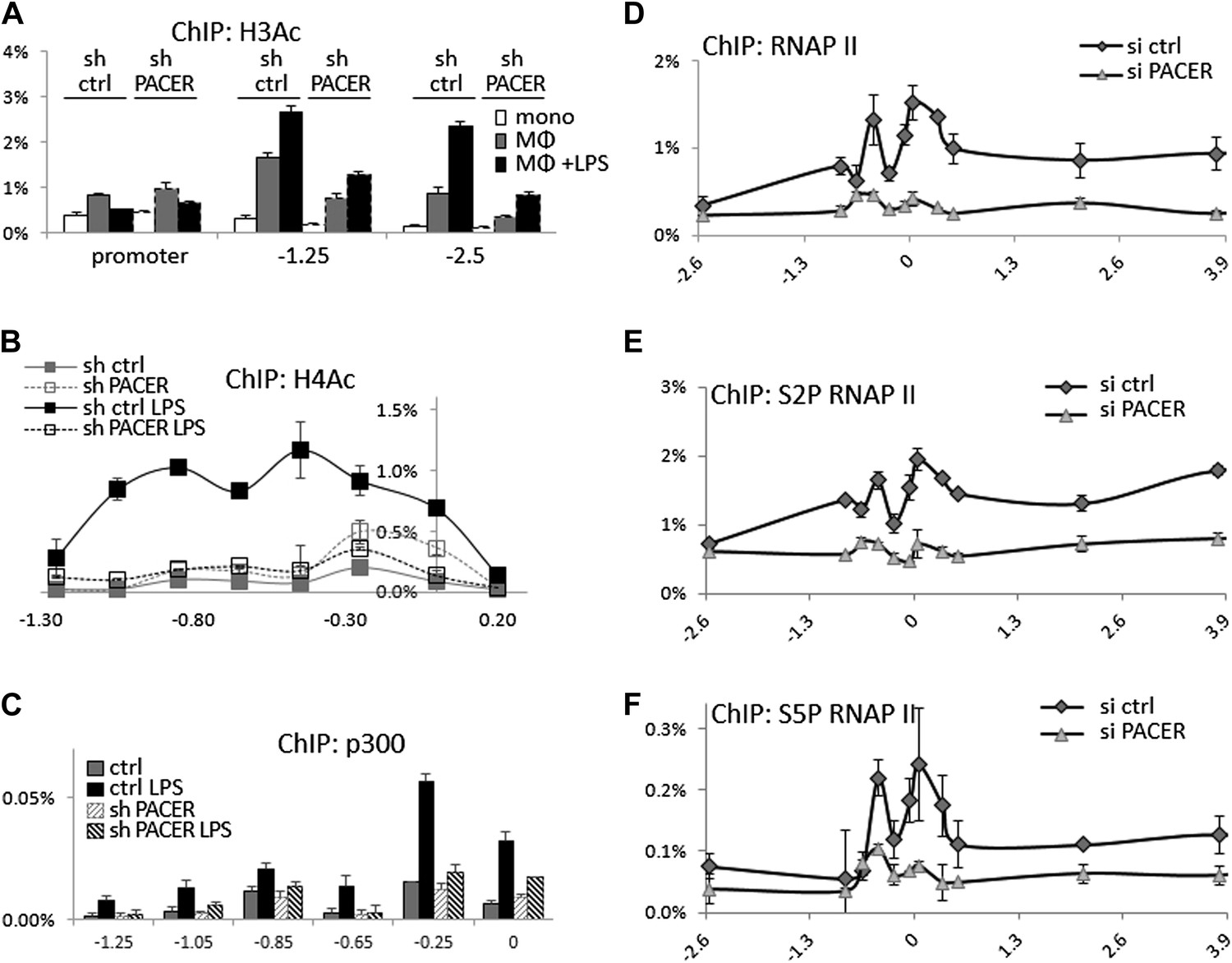 P50 Associated Cox 2 Extragenic Rna Pacer Activates Cox 2 Gene