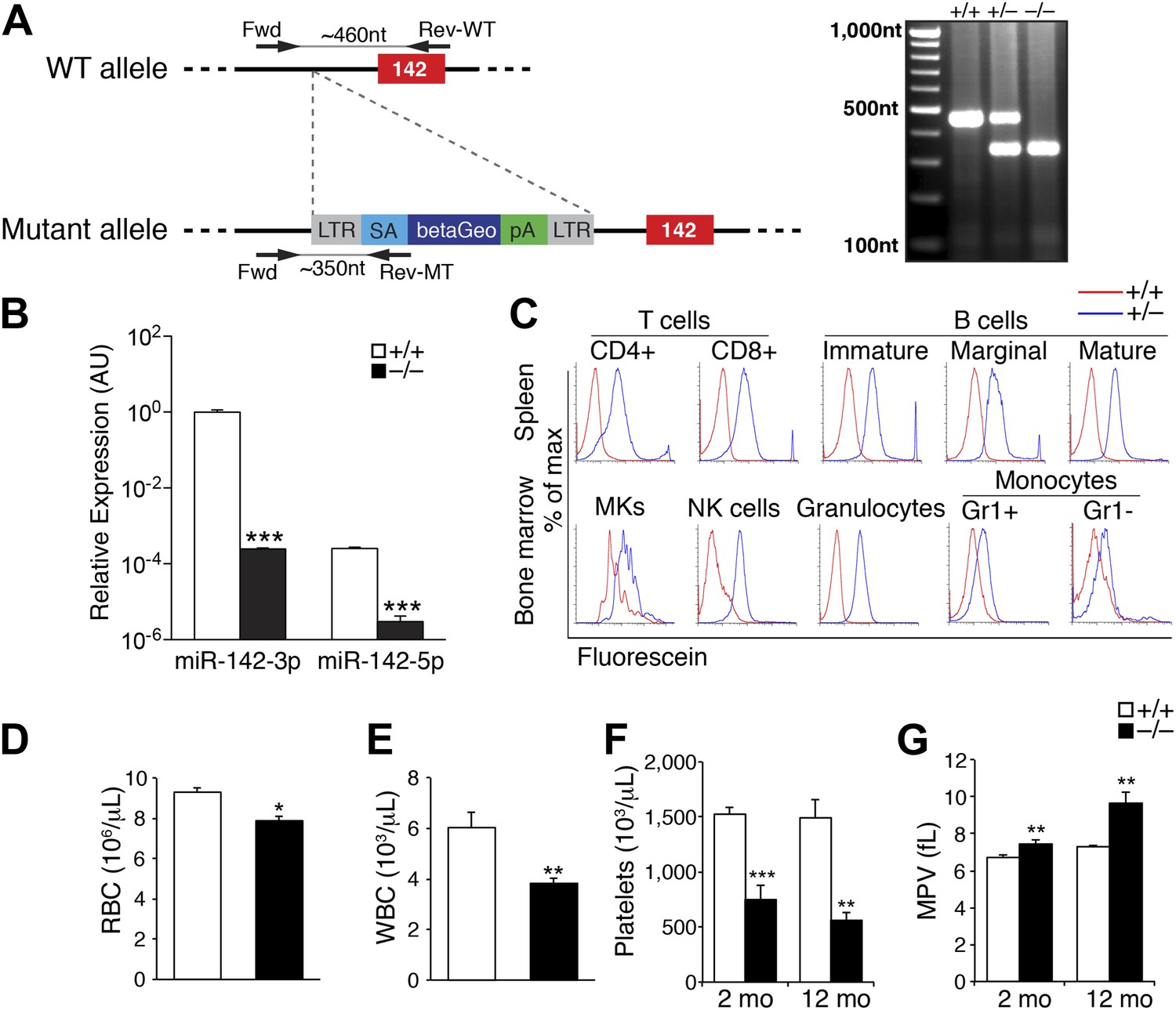 miR-142 orchestrates a network of actin cytoskeleton regulators