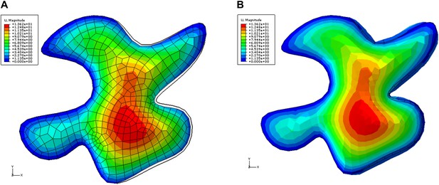 Subcellular and supracellular mechanical stress prescribes cytoskeleton ...