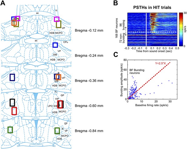 Figures And Data In A Frontal Cortex Event-related Potential Driven By ...