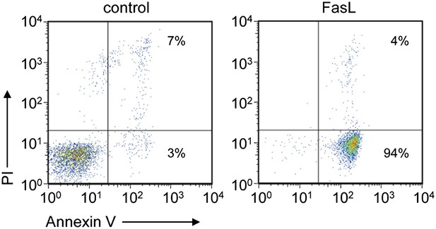 Figures and data in Immunosuppression via adenosine receptor activation ...