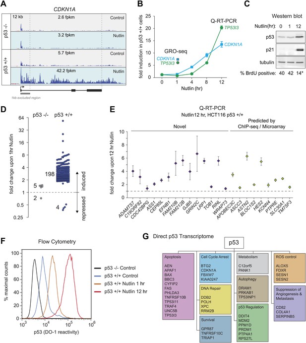 Global analysis of p53-regulated transcription identifies its direct ...