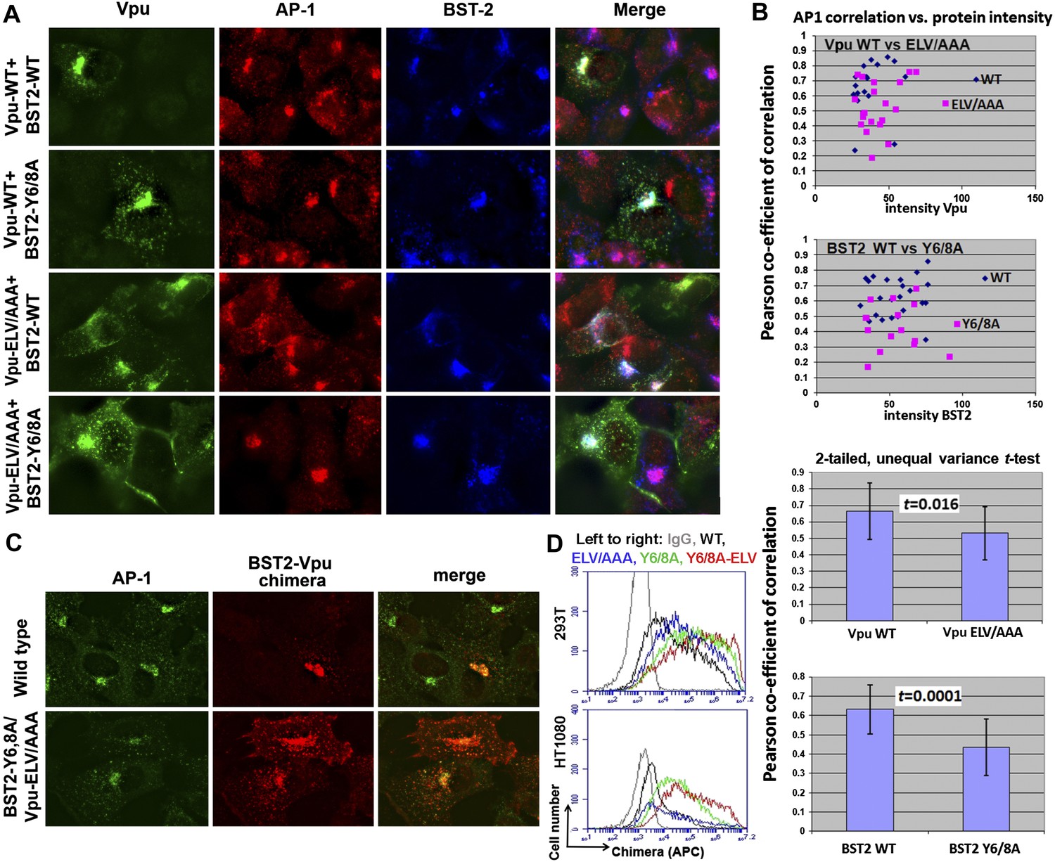 【超ポイント祭?期間限定】 Vpu-mediated HIV-1 of basis Structural BST2 via antagonism テープ・マスキングテープ