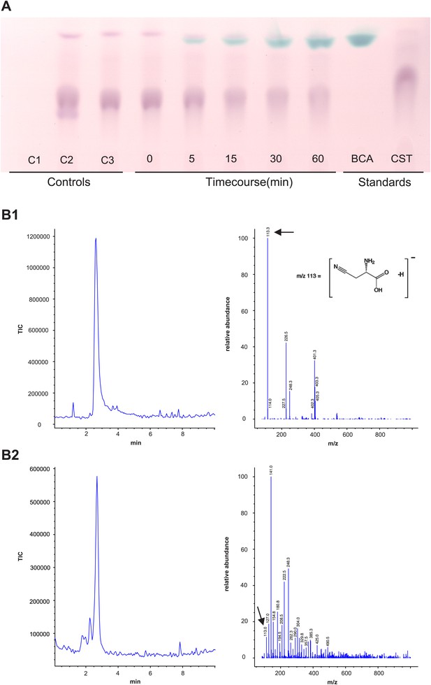 A gene horizontally transferred from bacteria protects arthropods from ...