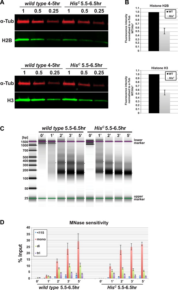 Figures and data in Histone supply regulates S phase timing and cell ... Biology Diagrams