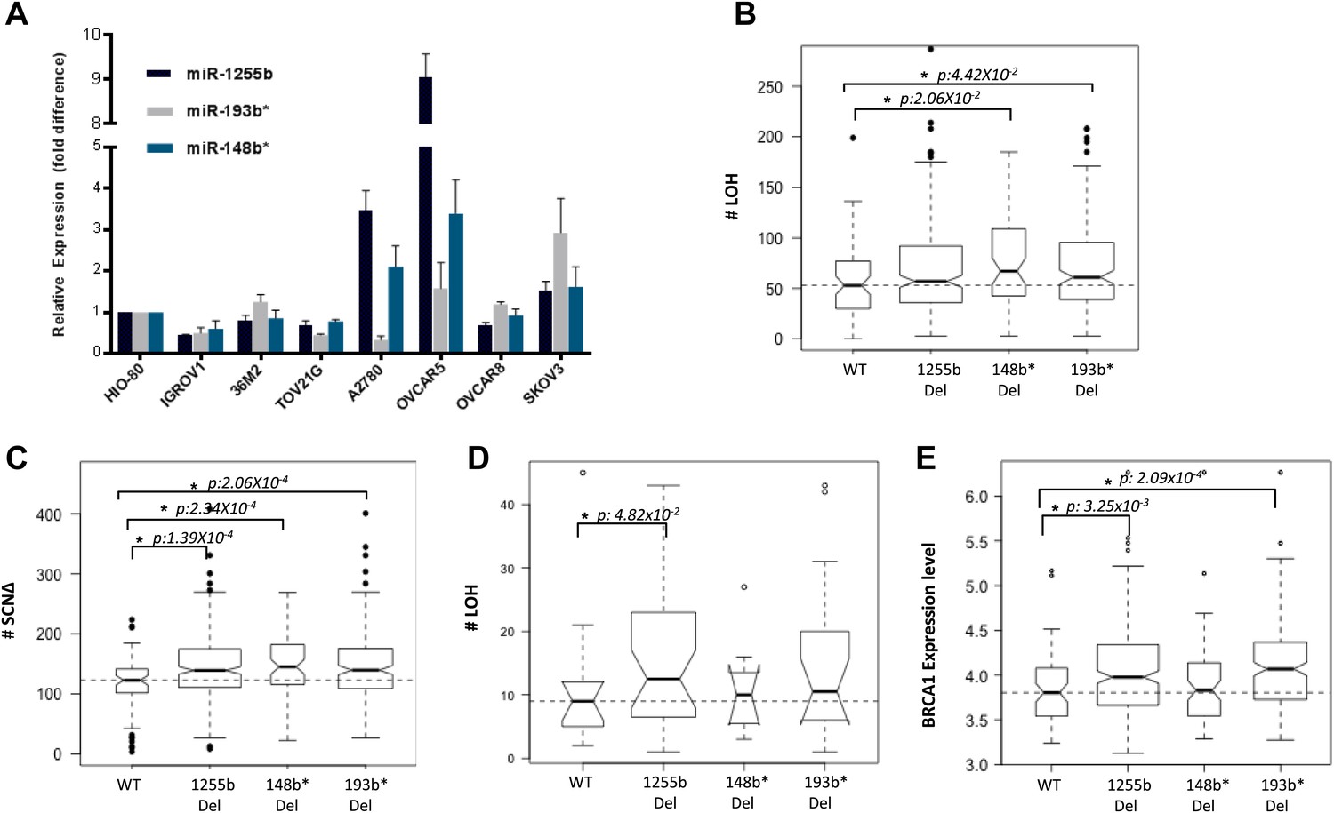 Figures and data in MicroRNAs down-regulate homologous recombination in ...