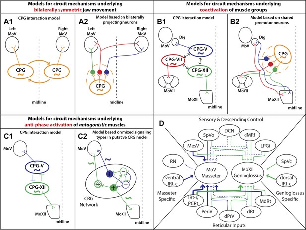 Figures and data in Monosynaptic premotor circuit tracing reveals ...