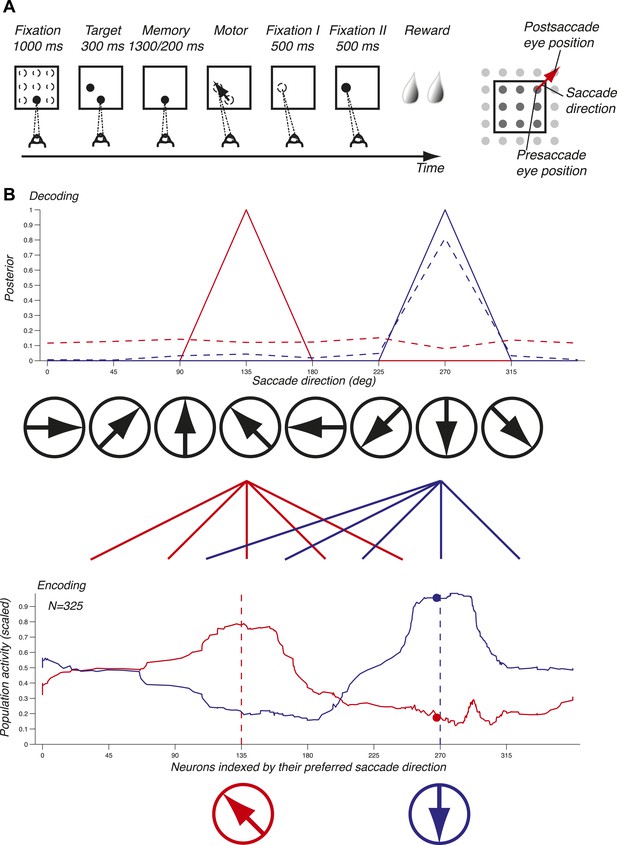 Inferring Eye Position From Populations Of Lateral Intraparietal ...