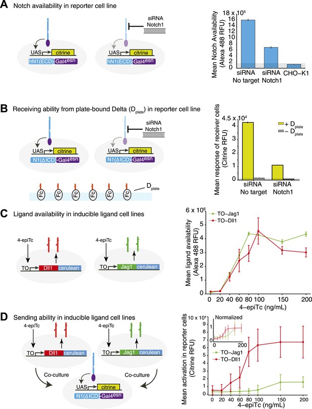Figures and data in Fringe proteins modulate Notch-ligand cis and trans ...
