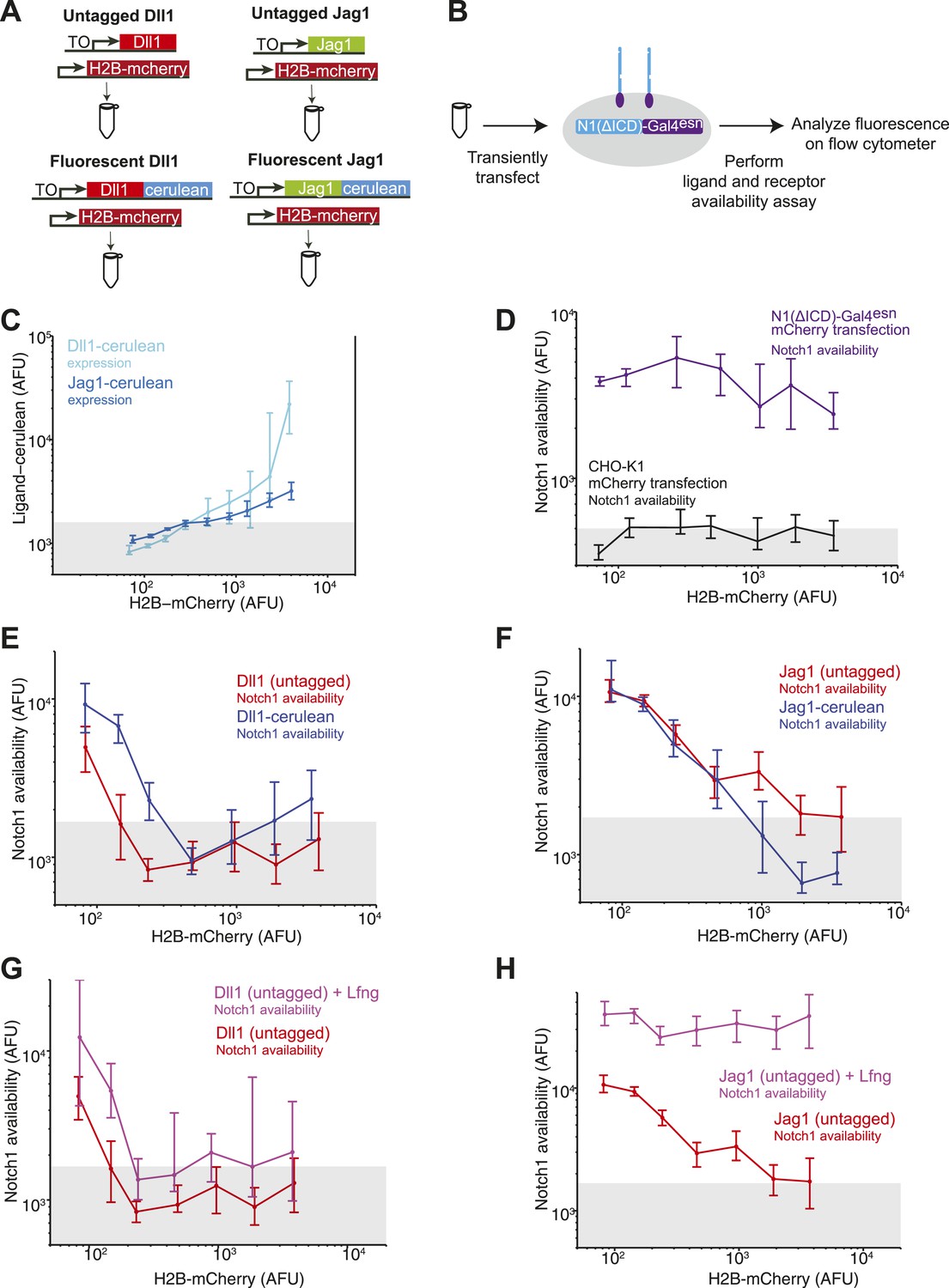 Figures and data in Fringe proteins modulate Notch-ligand cis and trans ...