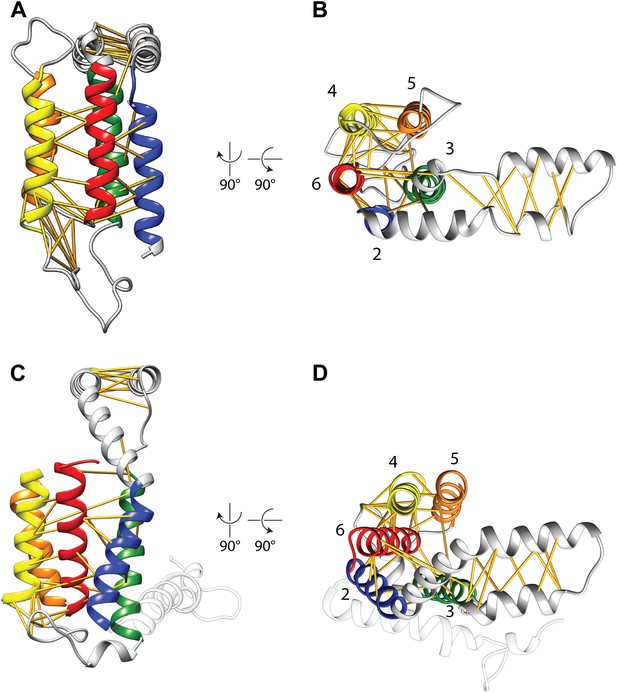 Figures And Data In A Structural Model Of The Active Ribosome Bound Membrane Protein Insertase 6296