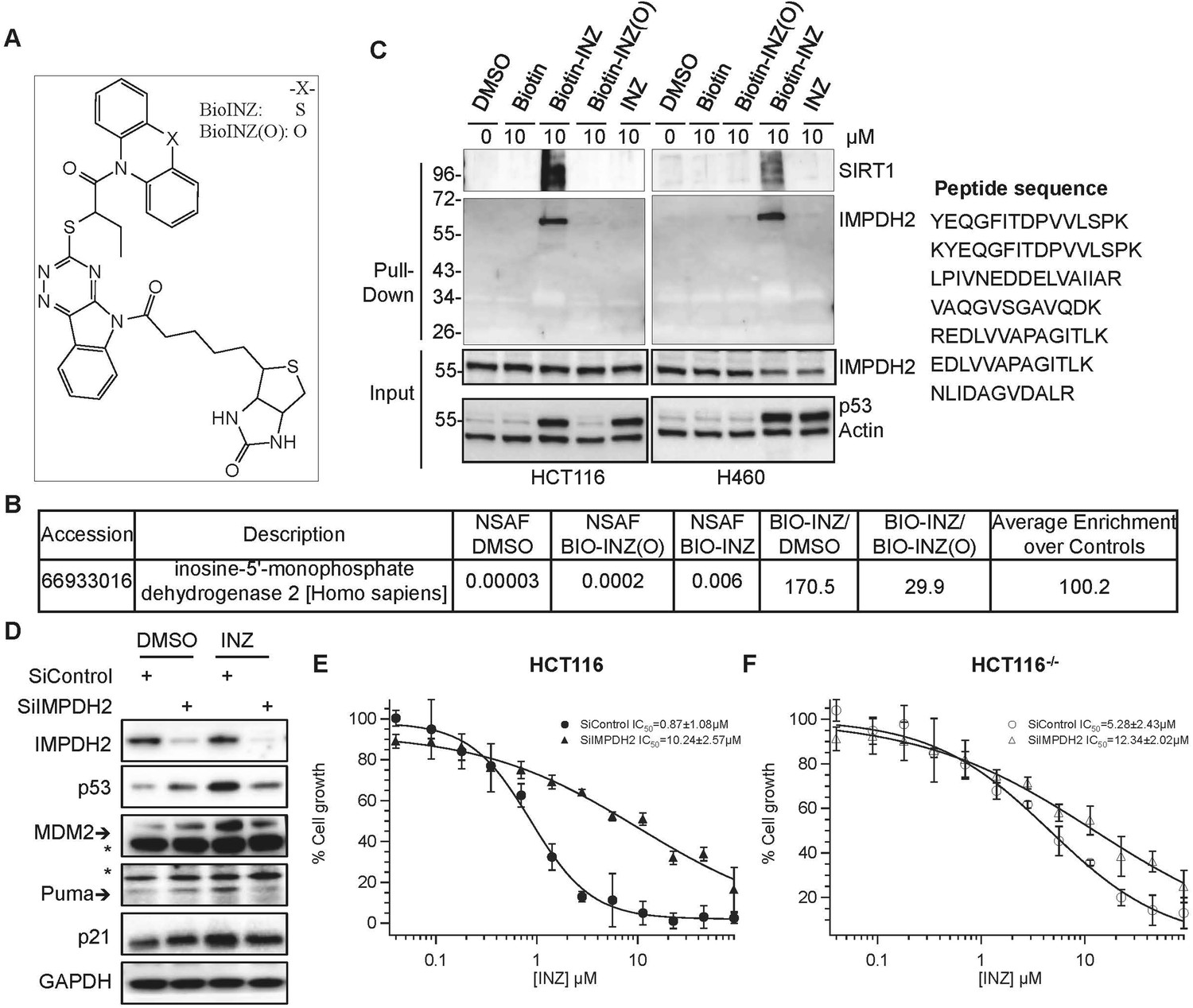 The role of IMP dehydrogenase 2 in Inauhzin-induced ribosomal 