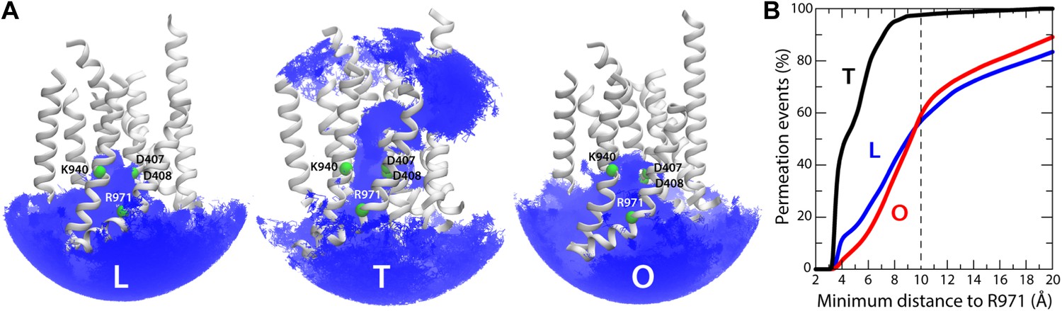 Coupling of remote alternating-access transport mechanisms for