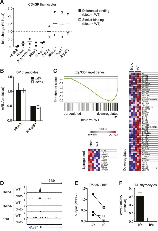 Figures and data in Zinc finger protein Zfp335 is required for the ...