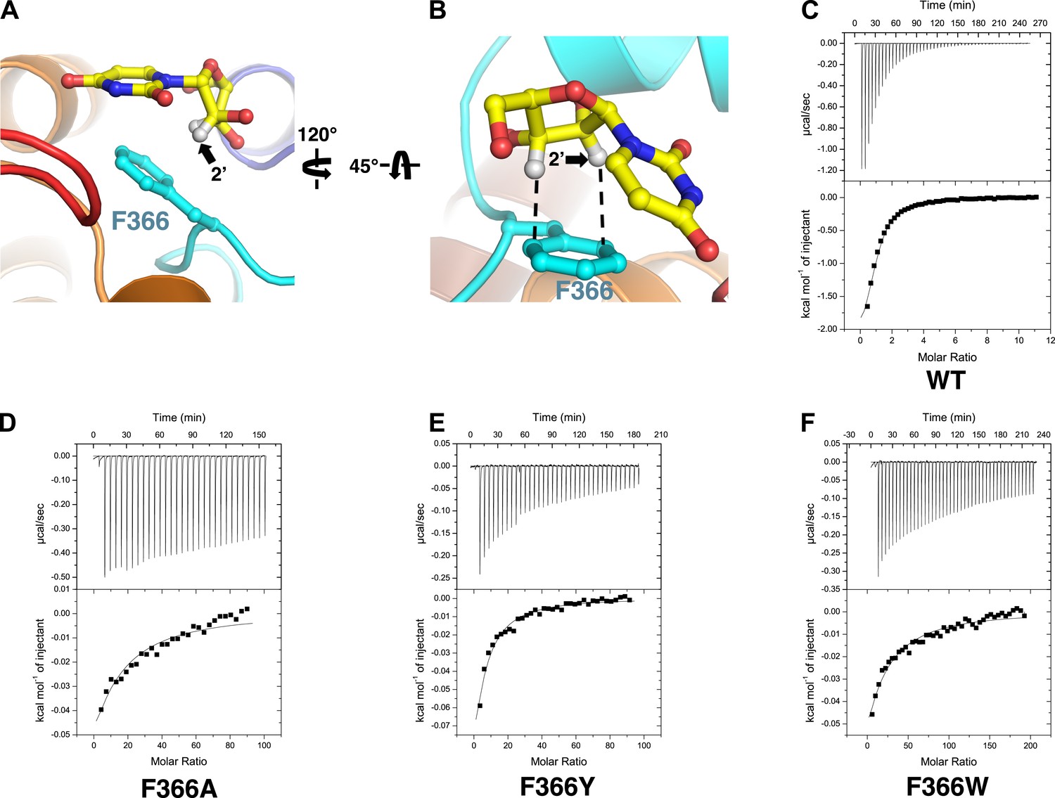Structural basis of nucleoside and nucleoside drug