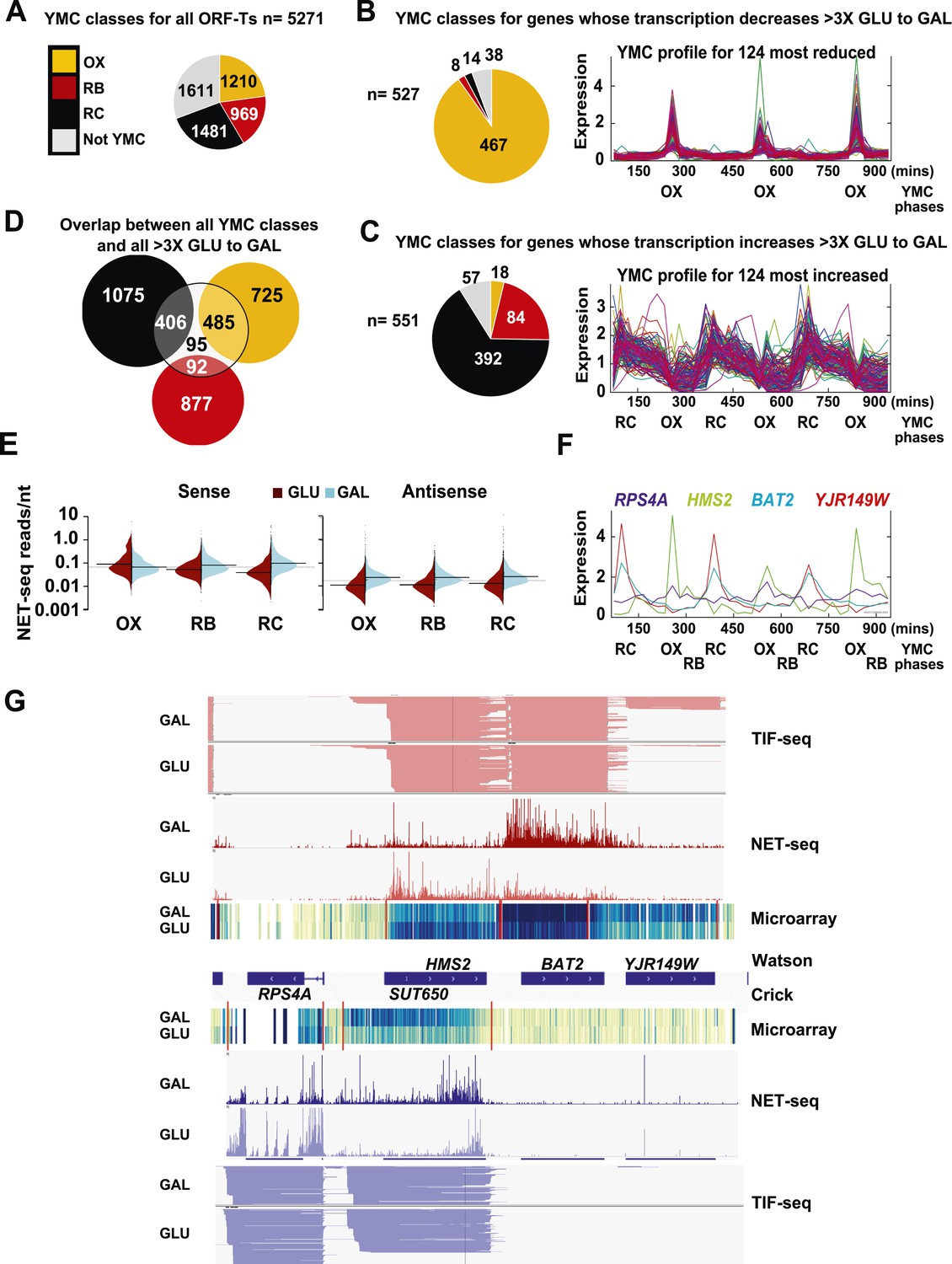 Transcription mediated insulation and interference direct