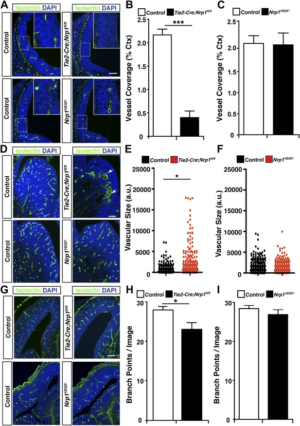 Figures And Data In Neuropilin 1 Functions As A Vegfr2 Co Receptor To