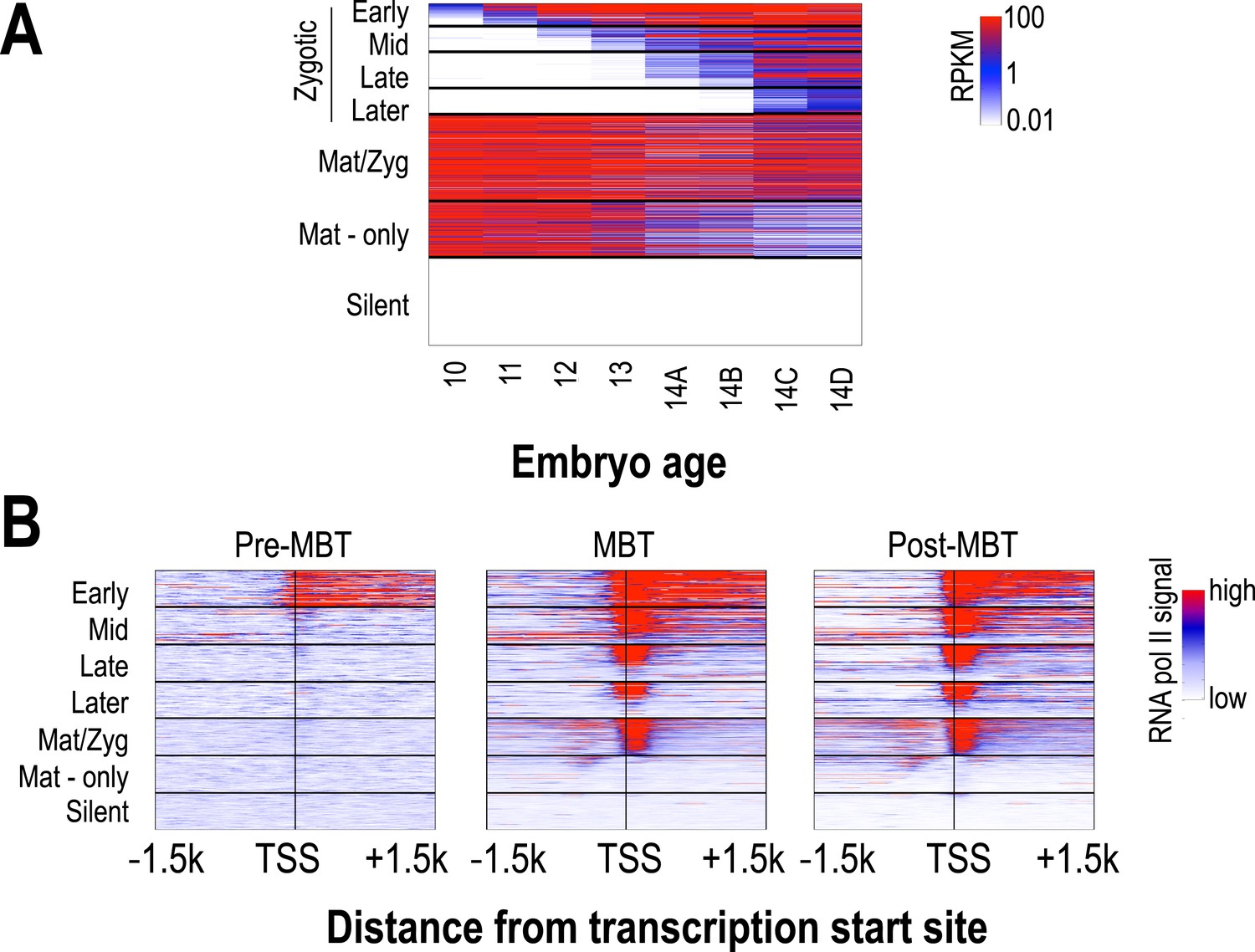 Figures And Data In Establishment Of Regions Of Genomic Activity During