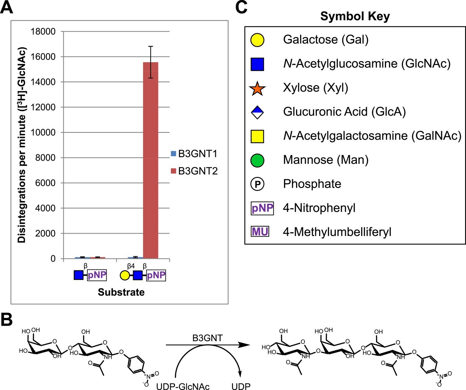 B4GAT1 is the priming enzyme for the LARGE-dependent functional