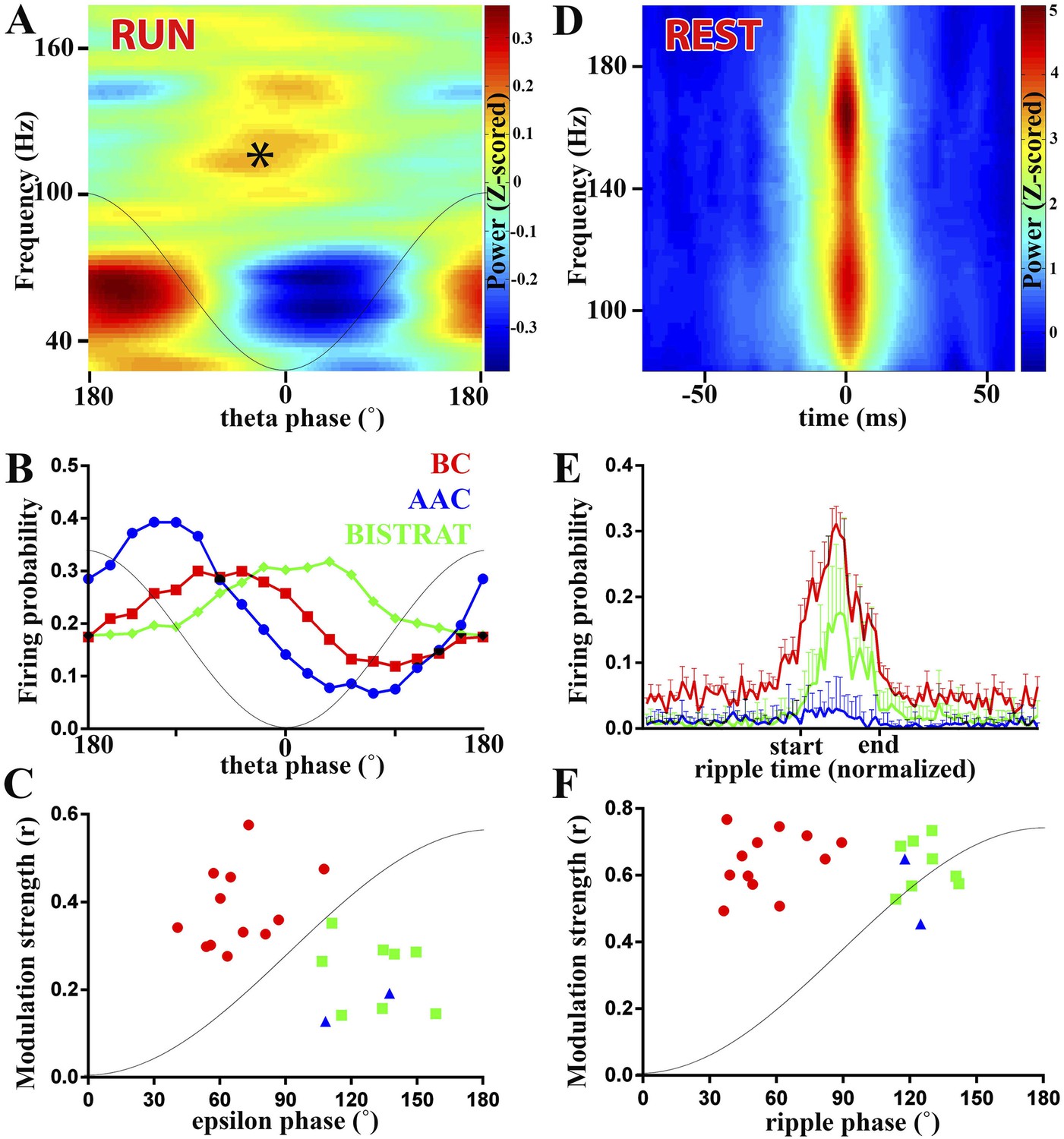 Figures and data in Functional fission of parvalbumin interneuron ...